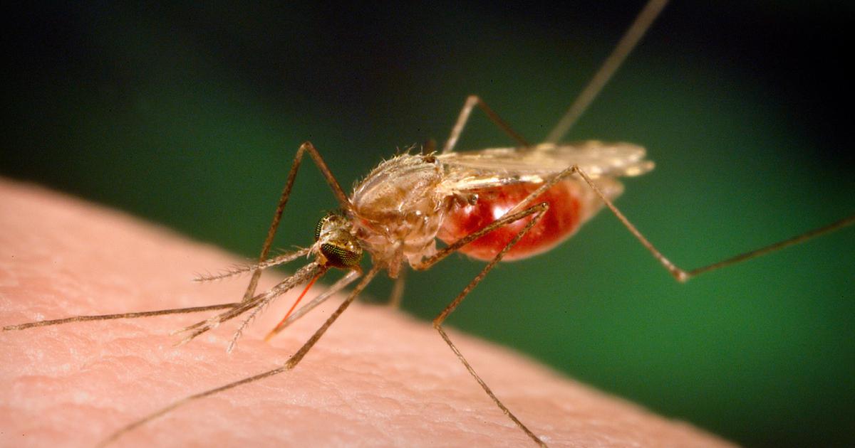 ABE teste les anti-moustiques - Enquête sur le pillage des données  personnelles des voyageurs par les Etats-Unis - - RTS.ch