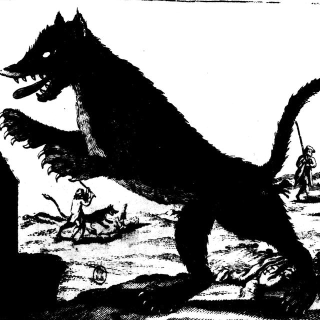 Une gravure de la bête du Gévaudan dans un livre du 18e siècle.