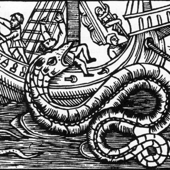 Serpent de mer issu d'un livre d'Olaus Magnus datant de 1555.