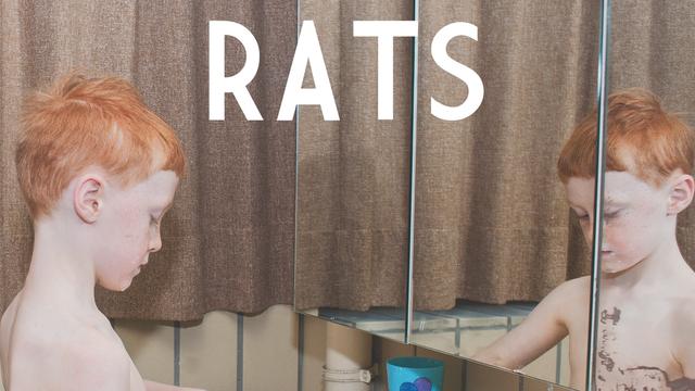 La pochette de l'album "Rats" de Balthazar. [Play It Again Sam]